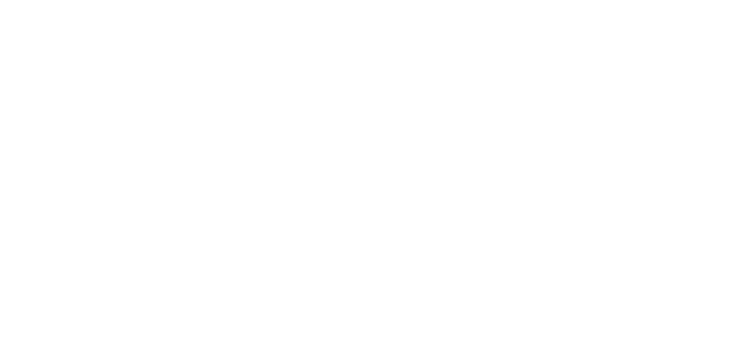 2TS